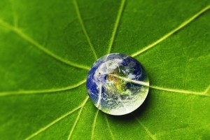 The world in a drop of water on a leaf. Elements of this image furnished by NASA